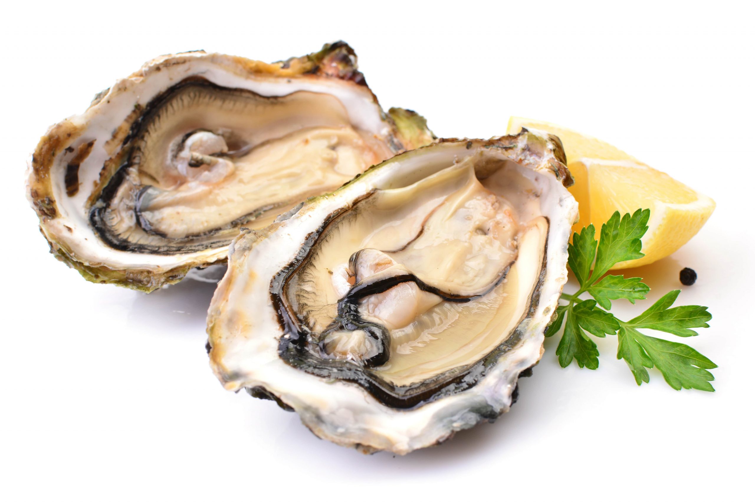 HEALTH BENEFITS AND RISKS OF OYSTERS-min