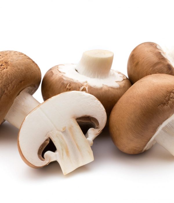 INCREDIBLE MUSHROOMS THAT WILL TURBO-SHOOT YOUR IMMUNE SYSTEM-min