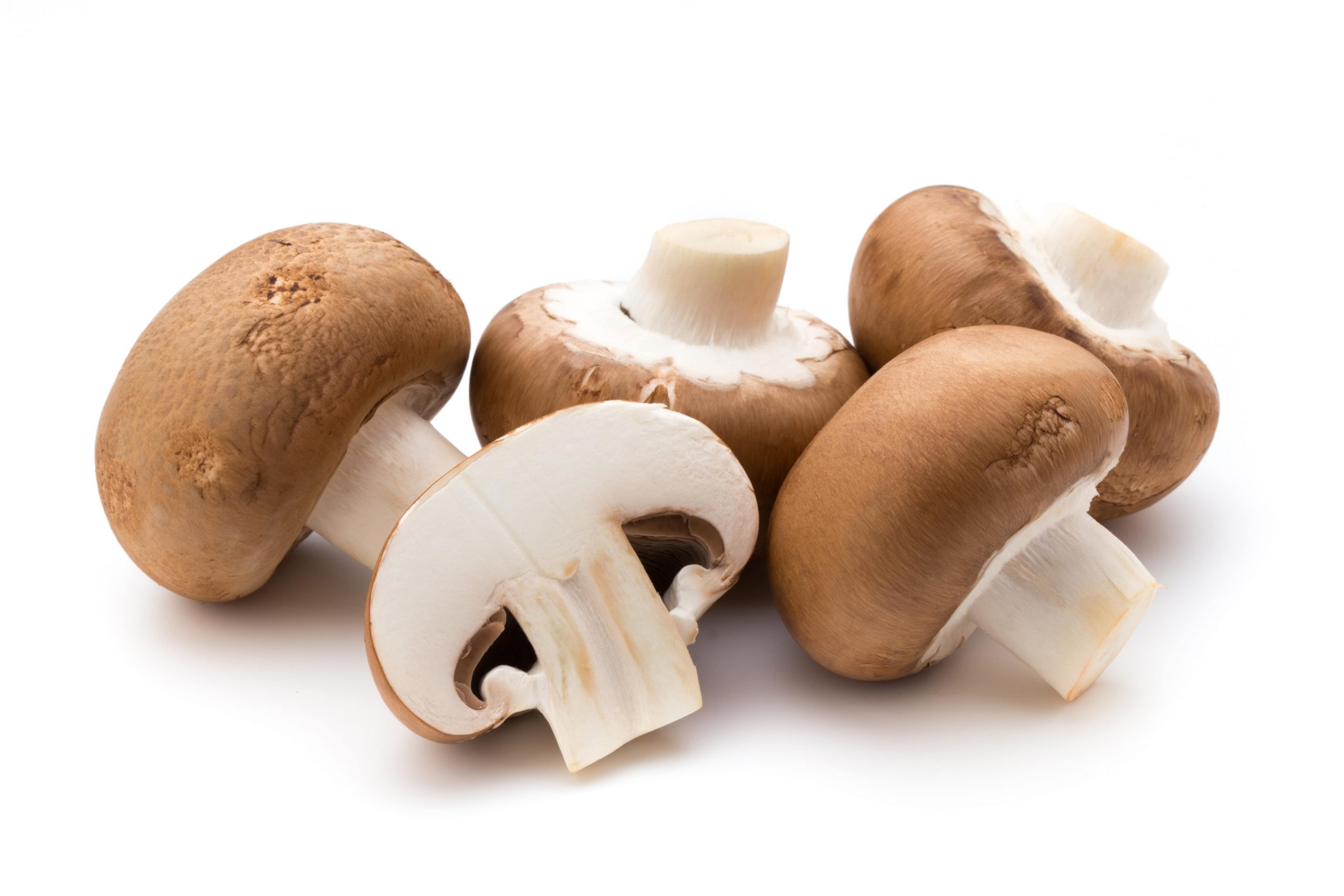 INCREDIBLE MUSHROOMS THAT WILL TURBO-SHOOT YOUR IMMUNE SYSTEM-min