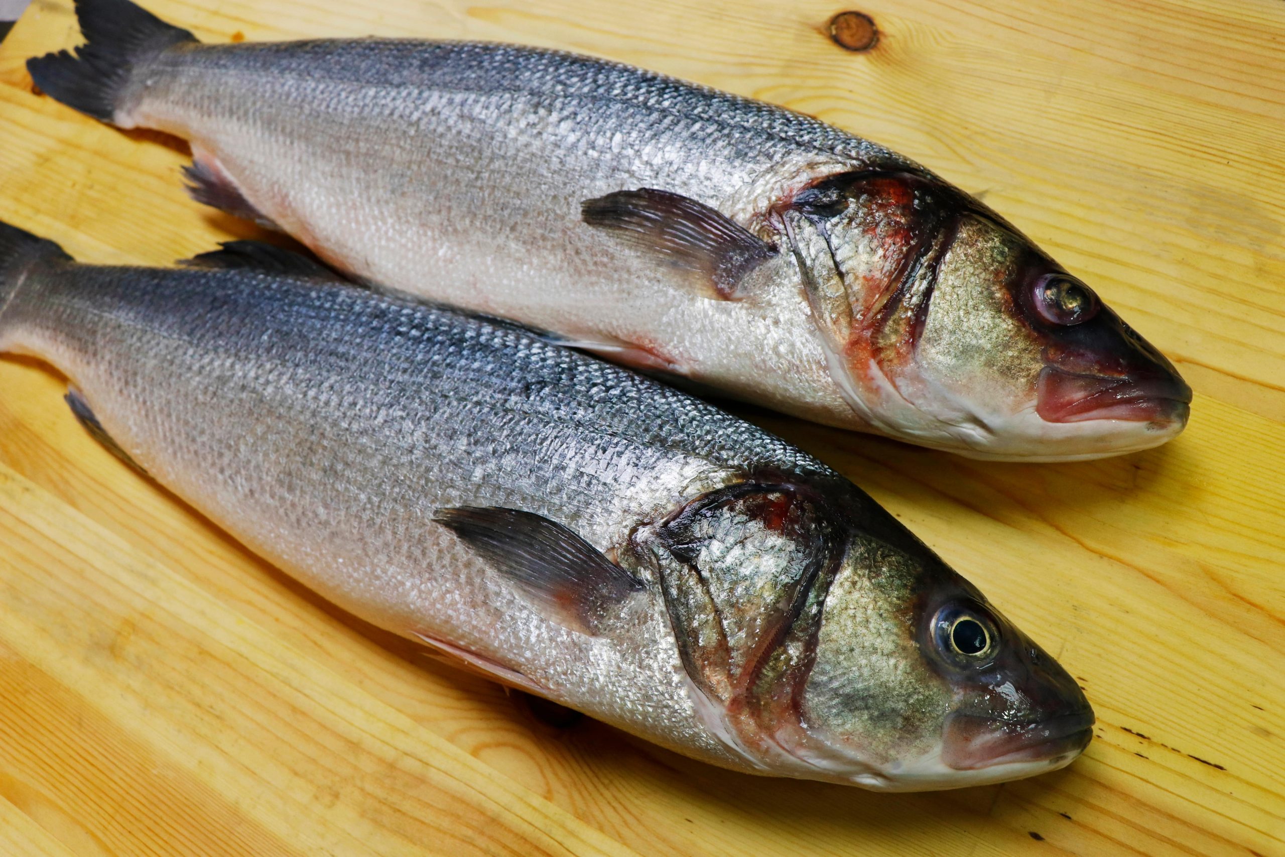 IS BASA FISH HEALTHY- ALL YOU NEED TO KNOW-min