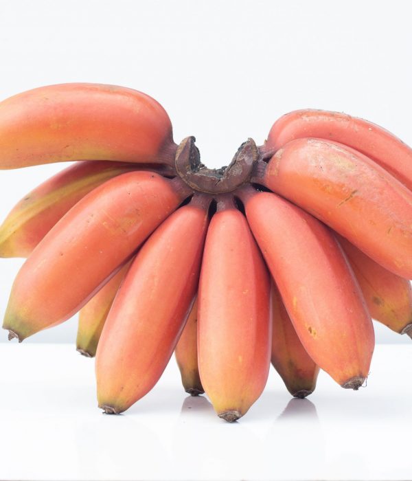 THE INCREDIBLE HEALTH BENEFITS OF RED BANANAS YOU NEED TO KNOW ABOUT-min