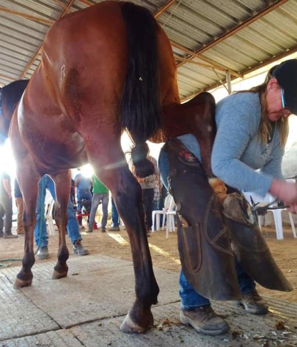 Heartland Horseshoeing School is the dream-turned-to-reality of Chris and Kelly Gregory