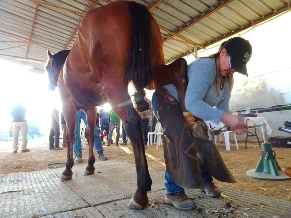 Heartland Horseshoeing School is the dream-turned-to-reality of Chris and Kelly Gregory