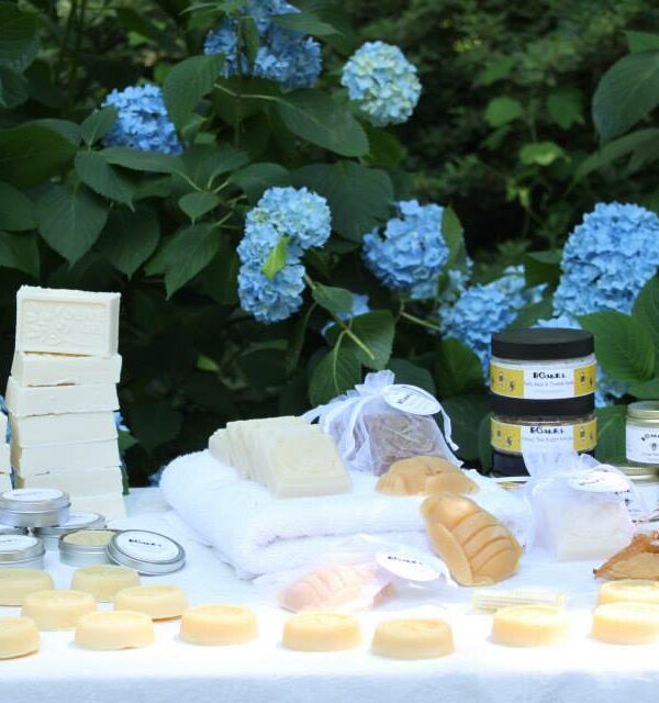 All-Natural Handmade Healthy Skincare from the BeeHive