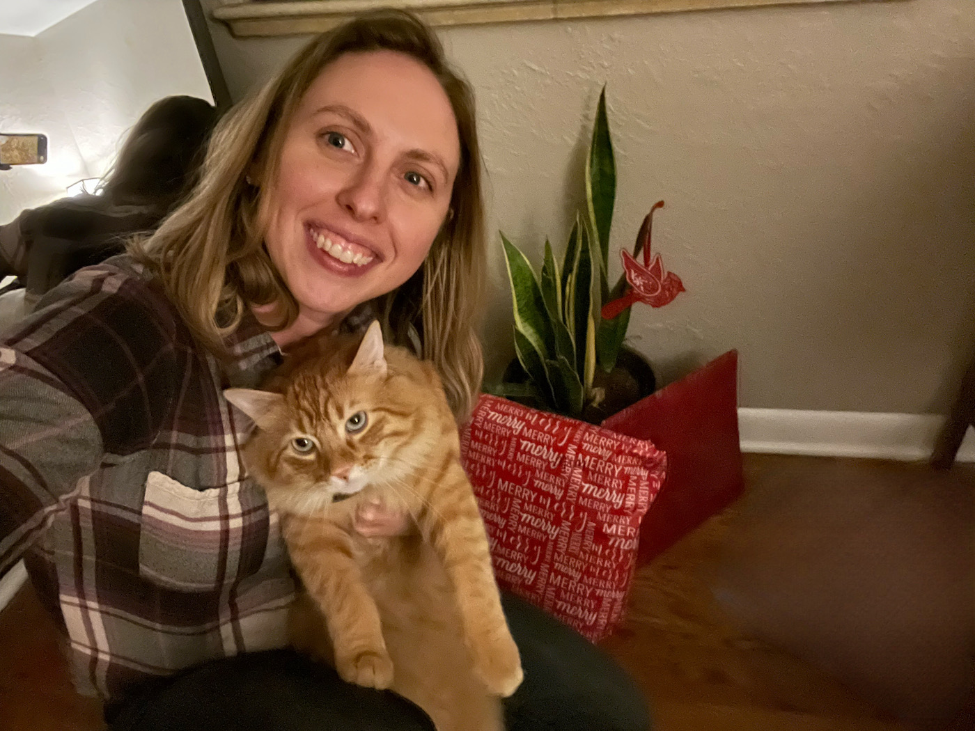 Jessi Prinner is the owner of the popular cat website - All About Catz