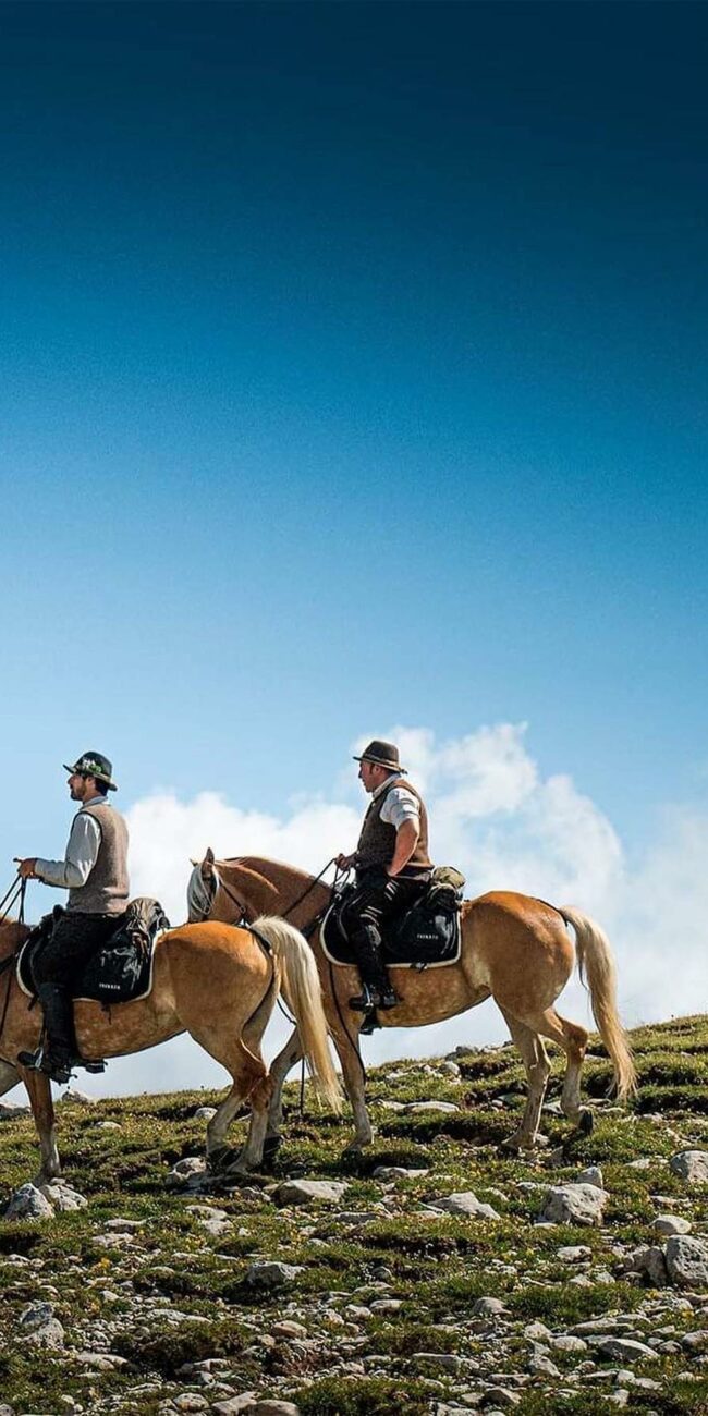 A booking platform for equestrian holidays and experiences, the first of its kind