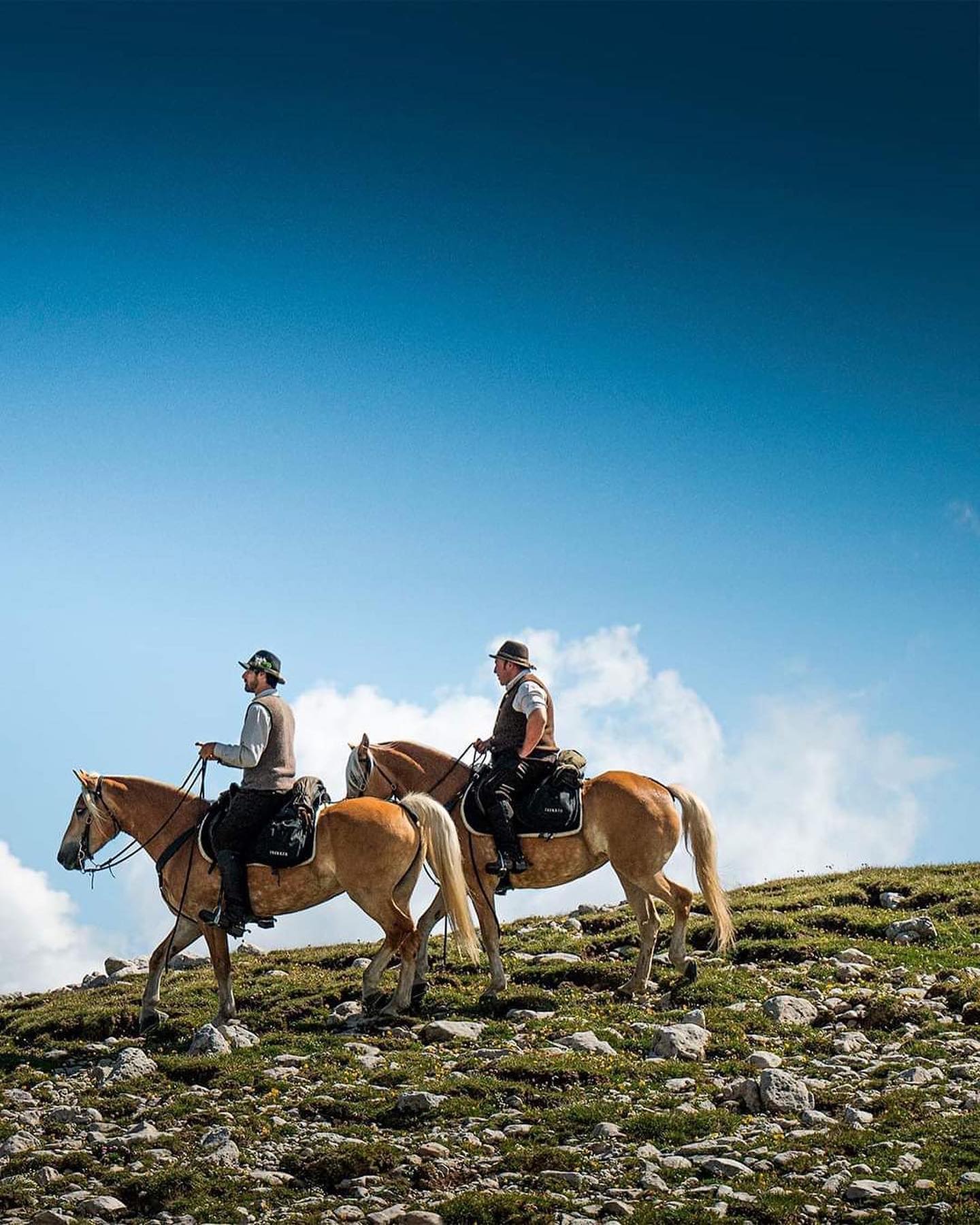 A booking platform for equestrian holidays and experiences, the first of its kind