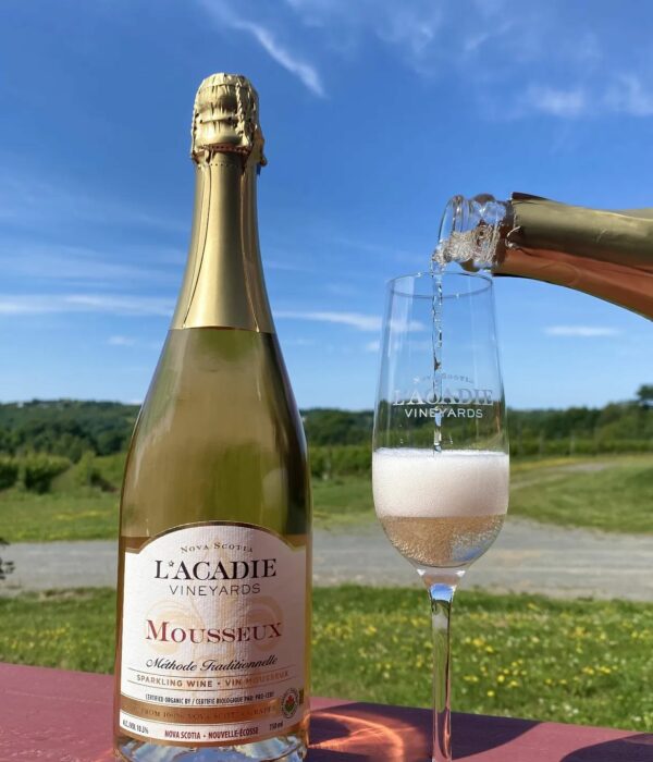 Going out on a vine L’Acadie Vineyards - certified organic and certified vegan winery_1