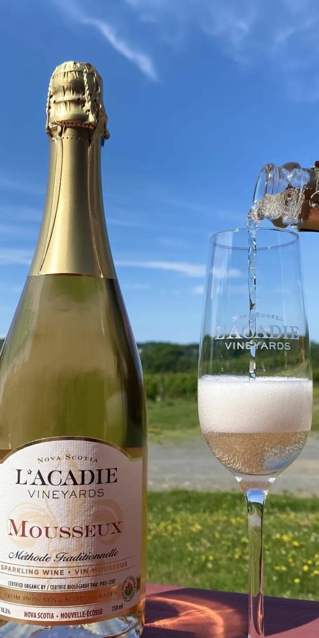 Going out on a vine L’Acadie Vineyards - certified organic and certified vegan winery_1